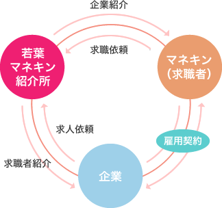 マネキン紹介図解